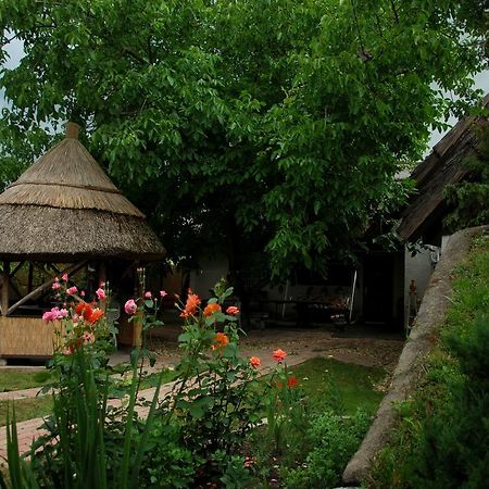 Natura Vendégház Pazmand Kültér fotó